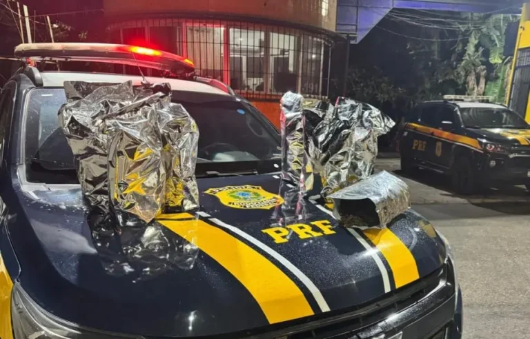 Casal é preso com mais de 10 kg de maconha na BR-230