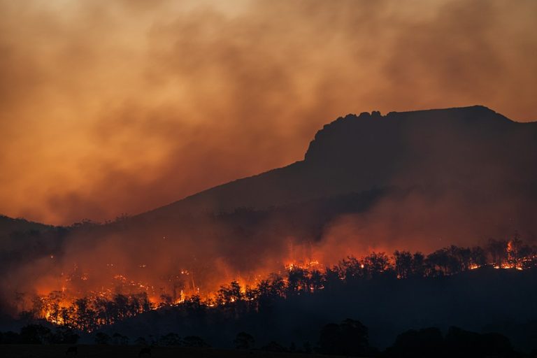 Incêndio nas proximidades do Centro Diocesano João XXIII mobiliza equipes em Lagoa Seca Incêndio em vegetação, fotografia ilustrativa que não retrata a ocorrência em Lagoa Seca